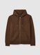 Brown Hoodie with Zip_4