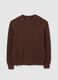 Brown pure cotton jumper regular fit_4