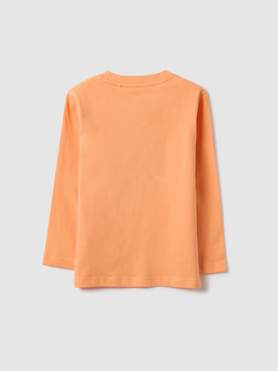 Kids Regular Fit Orange Pure Cotton T-shirt with Print_1