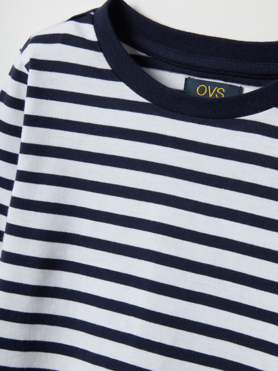 Multicolour Striped Cotton Long Sleeve T-Shirt - Regular Fit_2