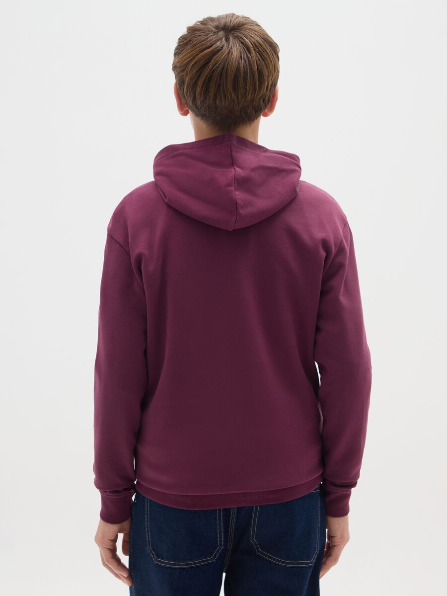 Felpa da ragazzo in puro cotone rossa regular fit con cappuccio_1