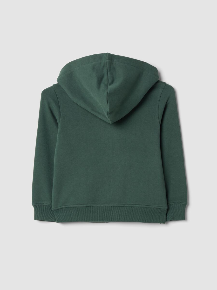 Felpa verde con cappuccio in puro cotone organico regular fit_1