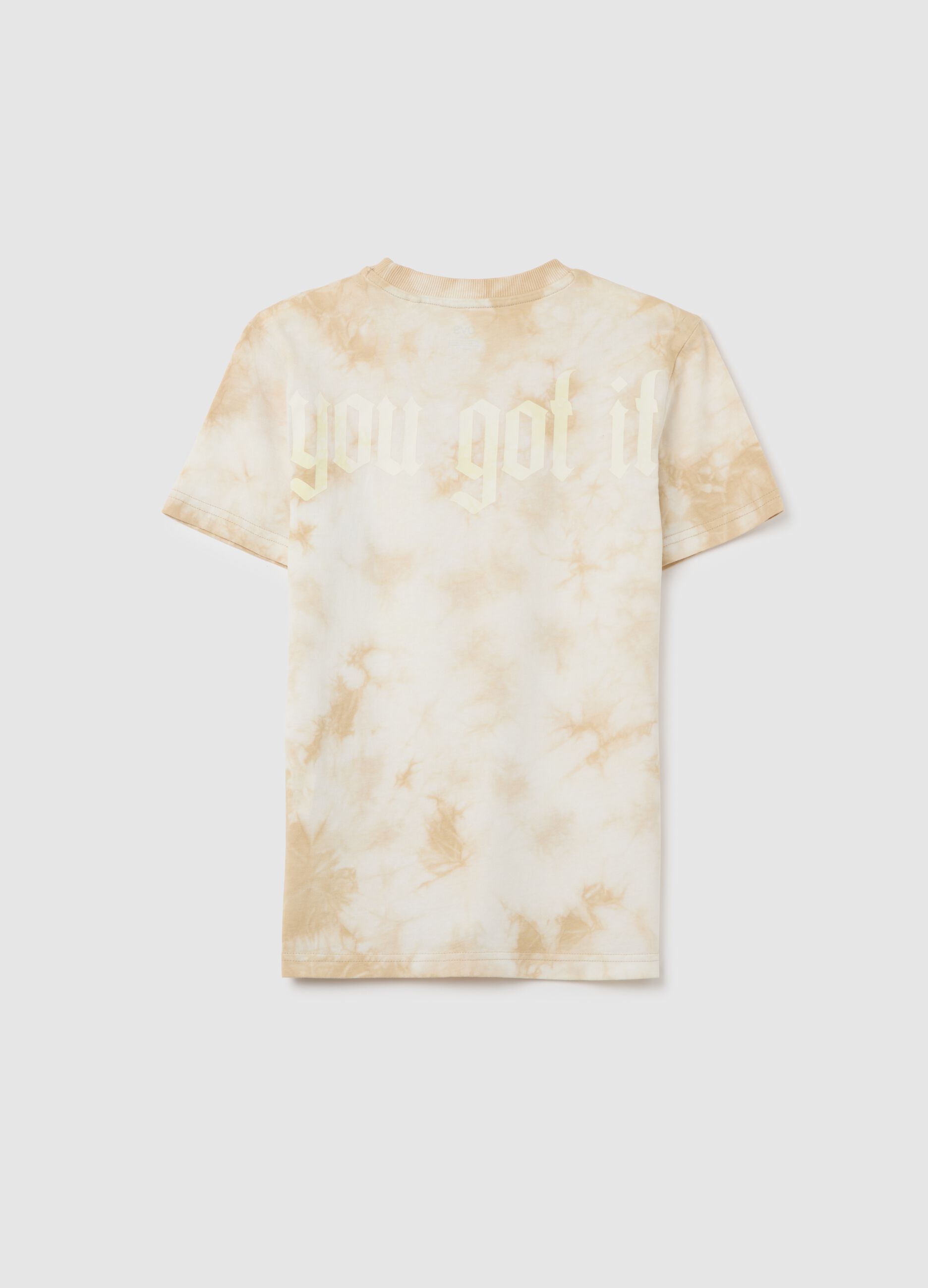Boys' Multicolour Pure Cotton Regular Fit T-Shirt with Print