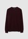 Purple crew neck pullover in pure lambswool regular fit_4