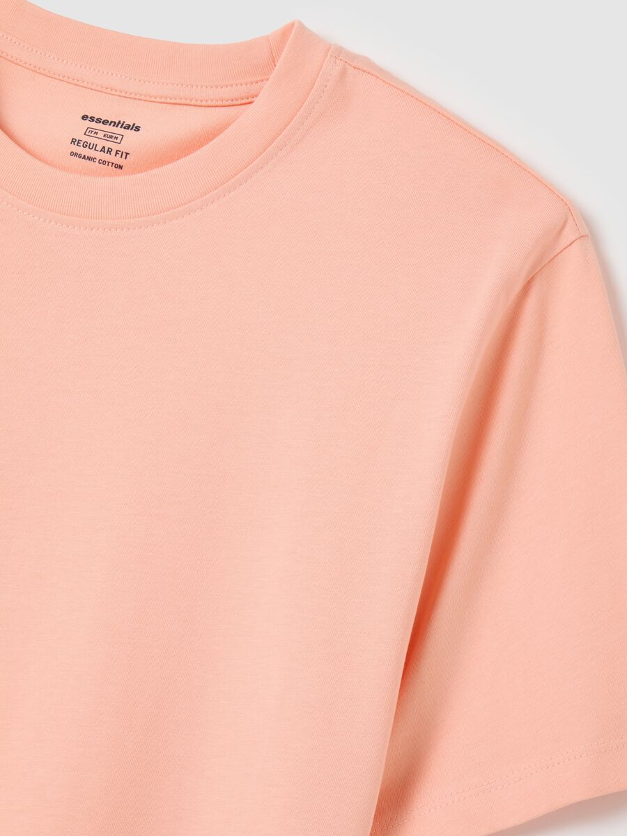 Men's Pink Pure Cotton Regular Fit T-shirt_5