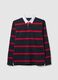 Multicolour pure cotton polo regular fit_4