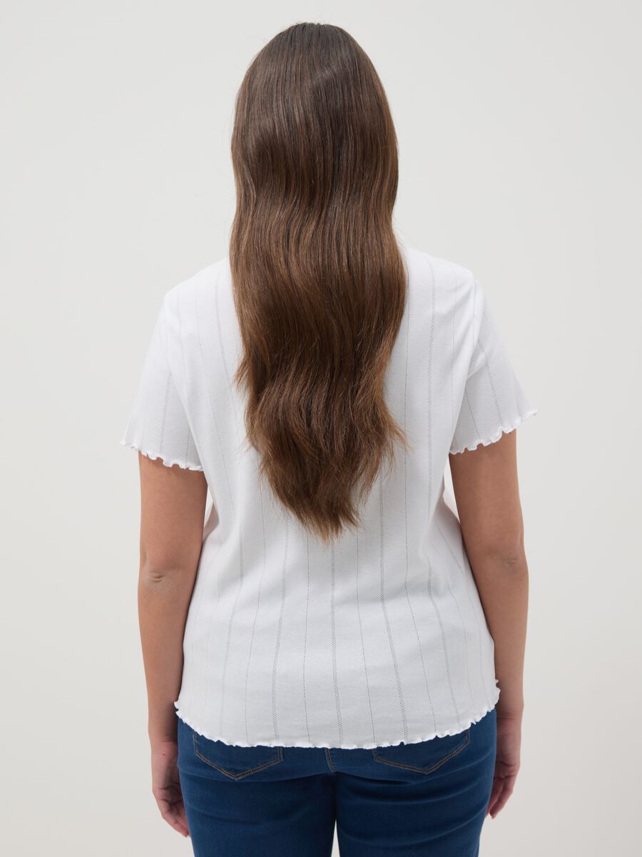 White pure cotton striped regular fit T-shirt_3