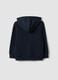 Blue hooded sweatshirt in pure organic cotton for boys, regular fit_1