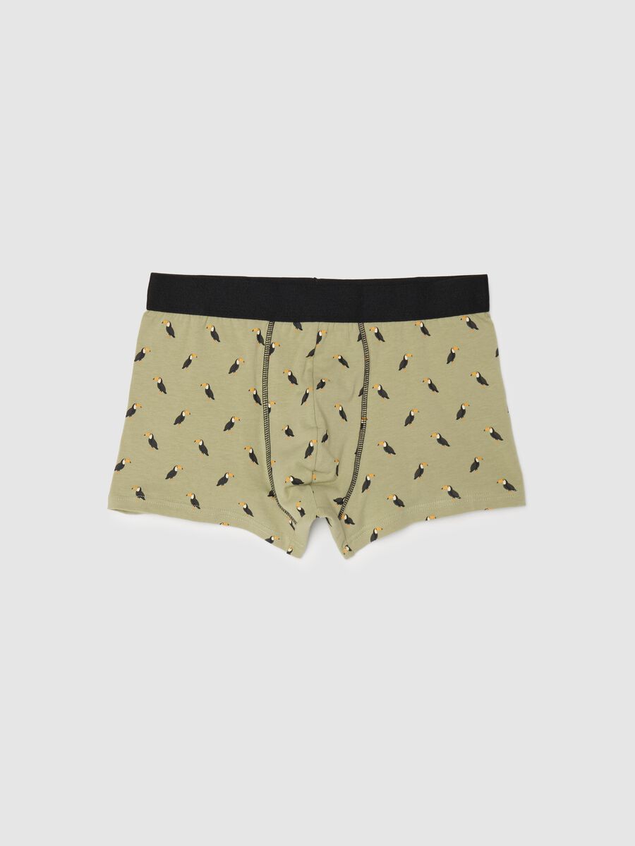 Midi boxer shorts in stretch cotton with pattern._4