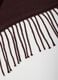 Brown scarf with fringes_2