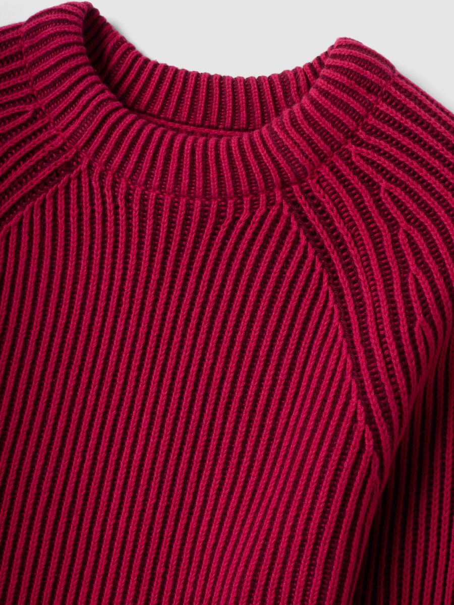Multicolour pure cotton ribbed crew-neck jumper, regular fit_1