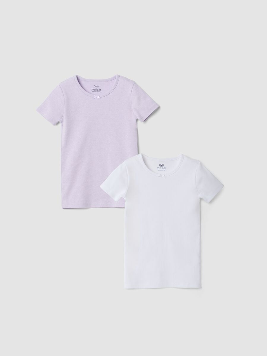2-pack purple crew-neck T-shirts in pure organic cotton_0