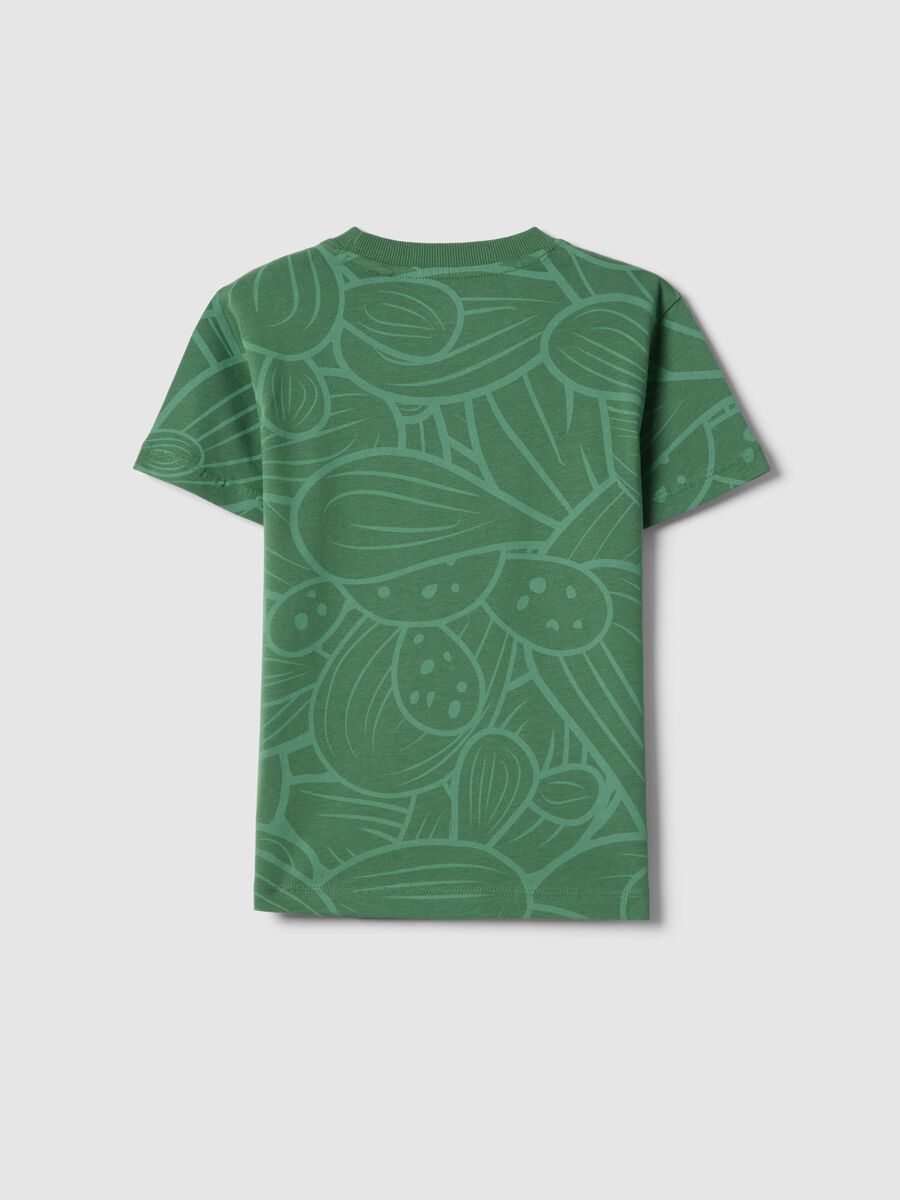 Green pure cotton regular fit t-shirt for boys with print_1