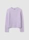 Lilac Regular Fit Sweater_4
