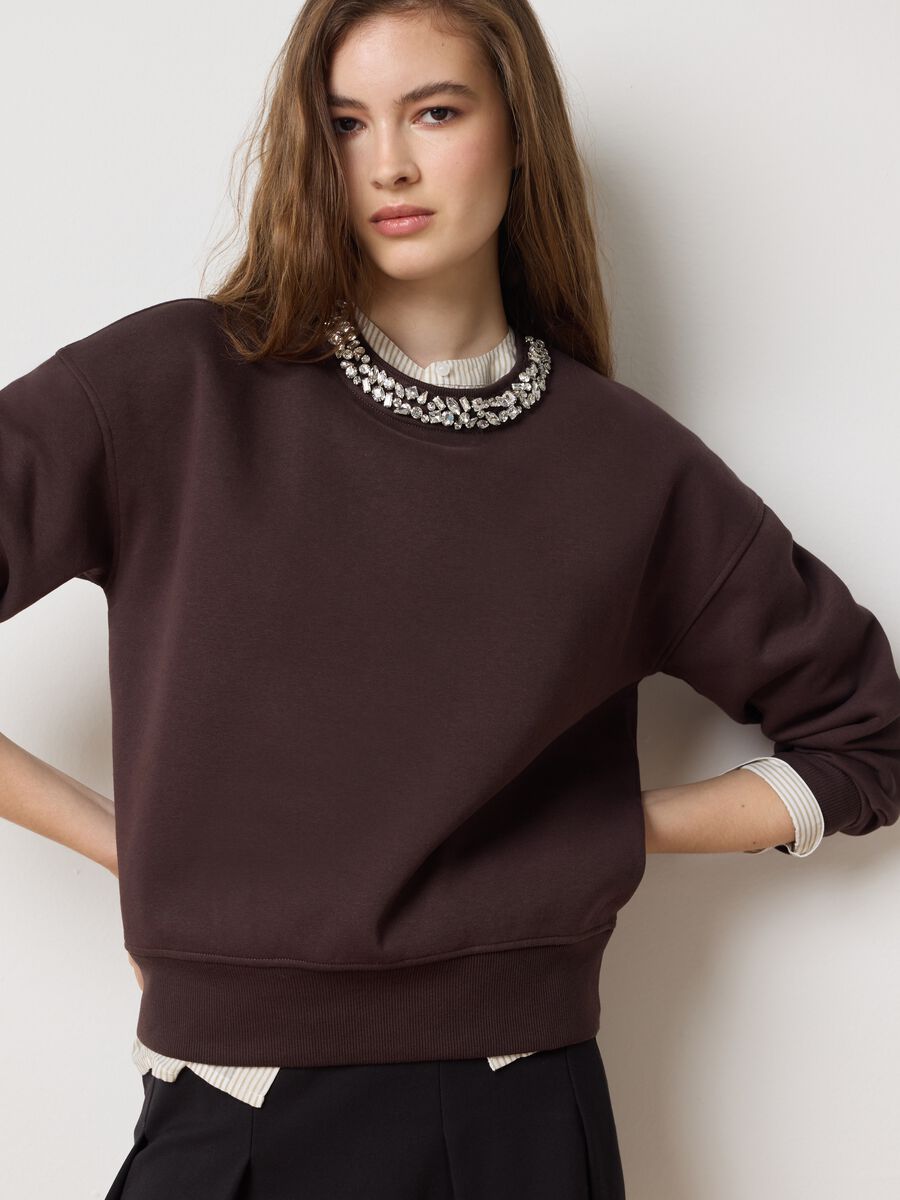 Felpa in misto cotone marrone regular fit con scollo rotondo decorato_0