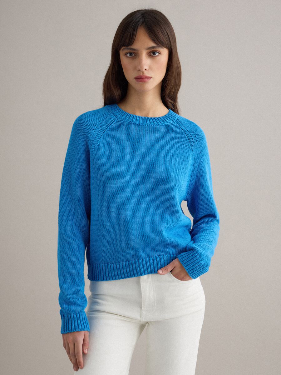 Blue crew neck jumper in pure cotton regular fit_1