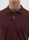 Men's Brown Pure Cotton Regular Fit Polo_1