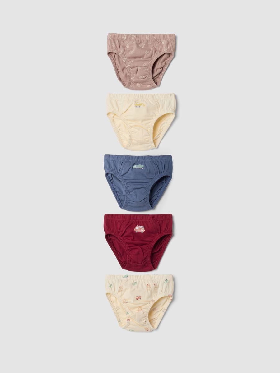 Pack of five multicoloured briefs in pure organic cotton_0