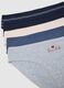 Multipack of multicolour stretch cotton briefs with regular fit_1