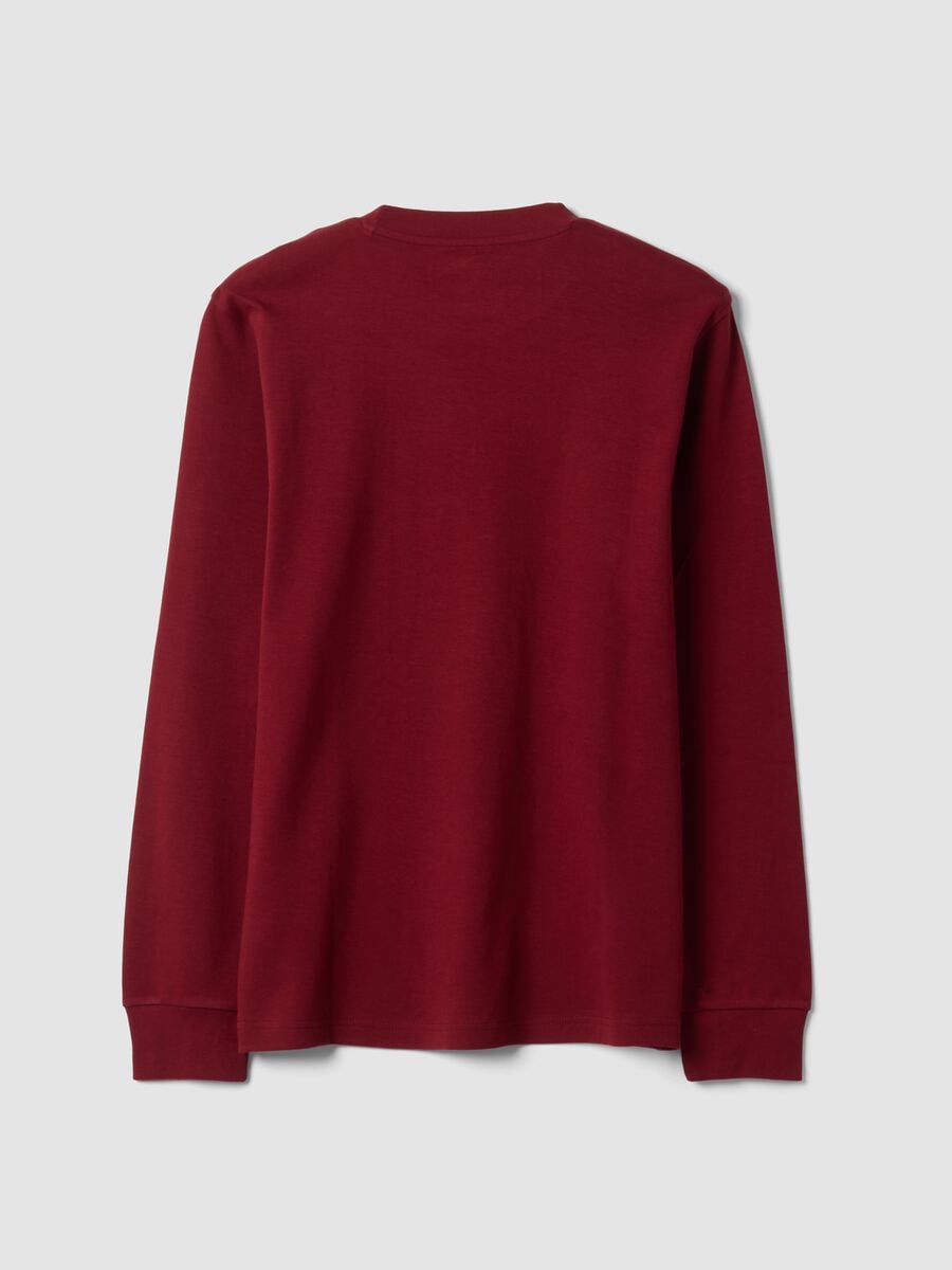 Red pure cotton crew-neck T-shirt, regular fit_2