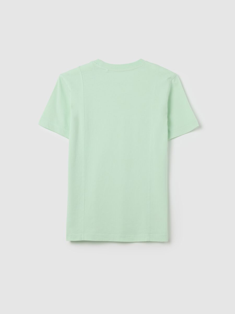 T-shirt da ragazzo in puro cotone verde regular fit_4