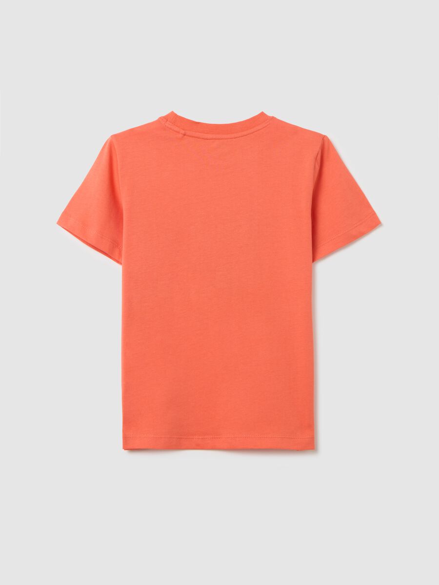 Cotton T-shirt with print_1