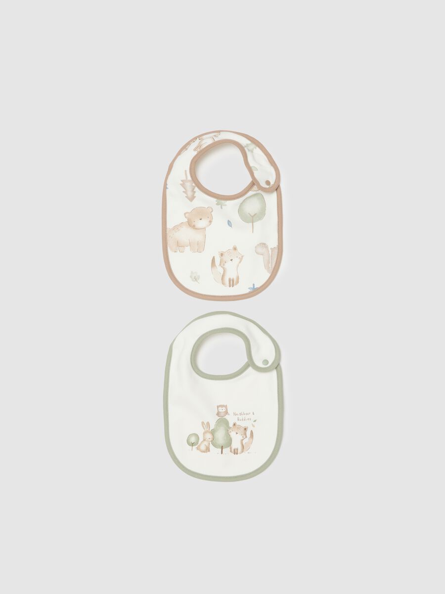Twin Pack Infant Bibs in Pure Multicolour Cotton_0