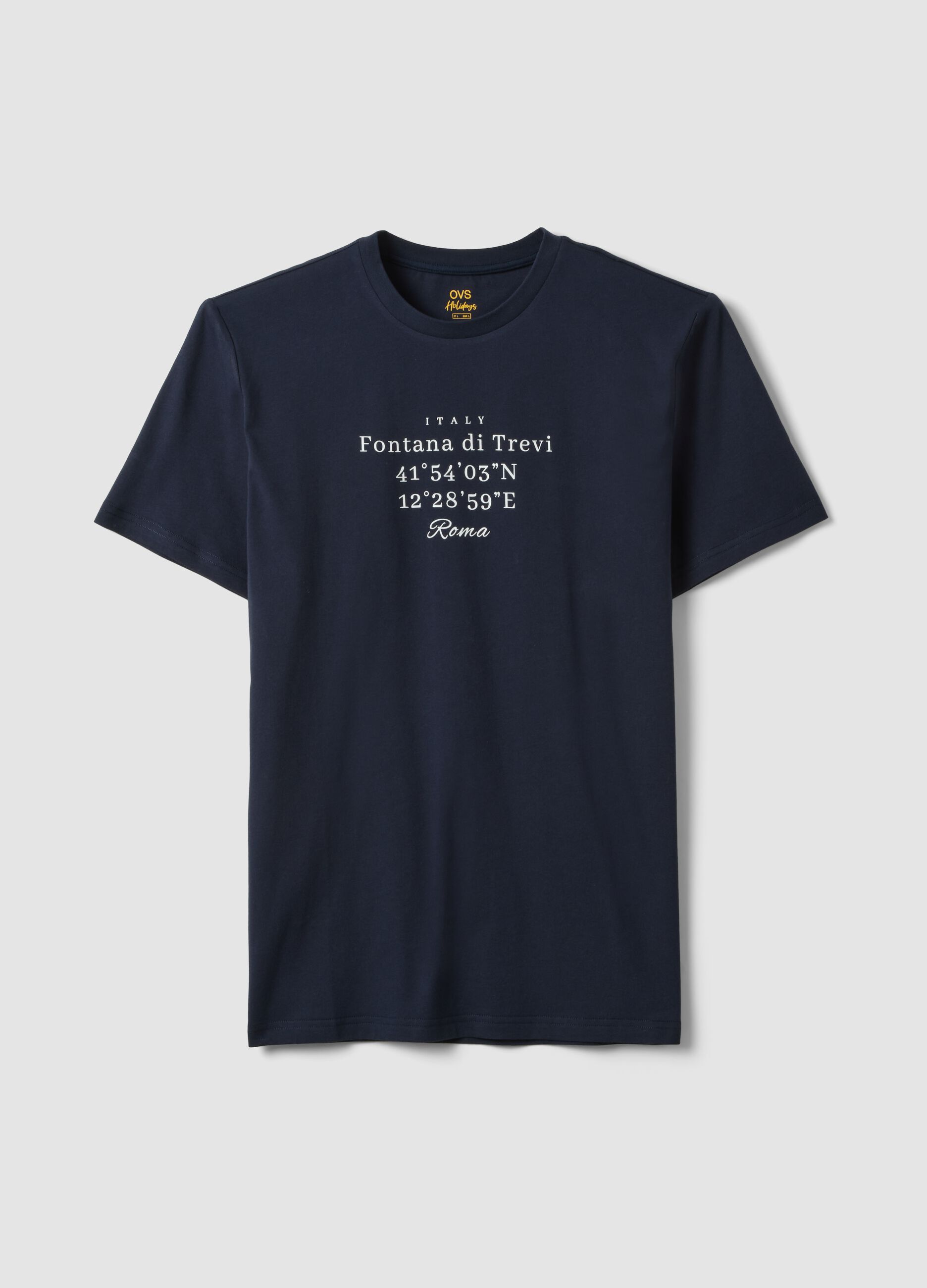 Blue pure cotton regular-fit T-shirt with front print