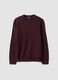 Burgundy crew-neck jersey knit jumper, regular fit_0