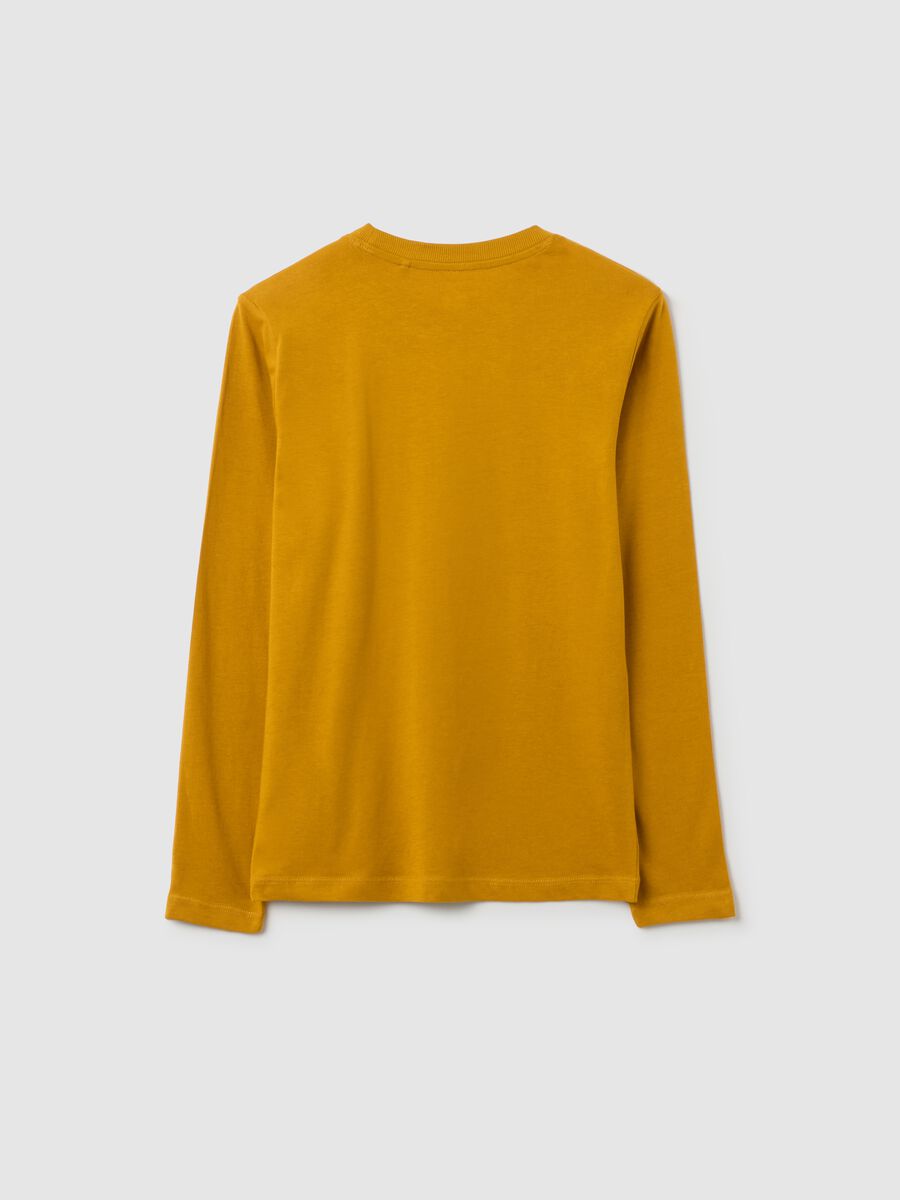 T-shirt da ragazzo in puro cotone marrone regular fit_1