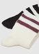 Multipack of regular fit multicoloured striped cotton blend socks_1