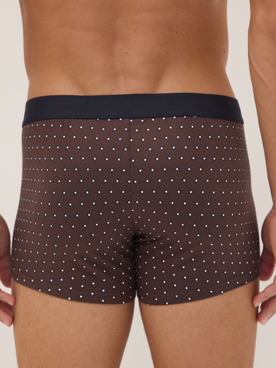 Tripack di boxer marroni in cotone organico elasticizzato a pois_2