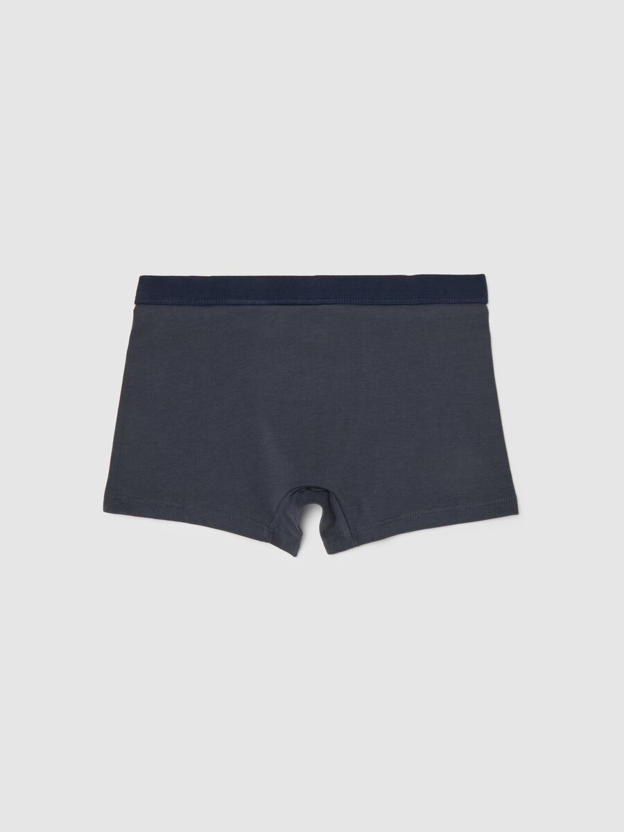 Boys' Blue Stretch Cotton Boxers_1