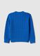 Kids' blue regular fit pure cotton pullover_1