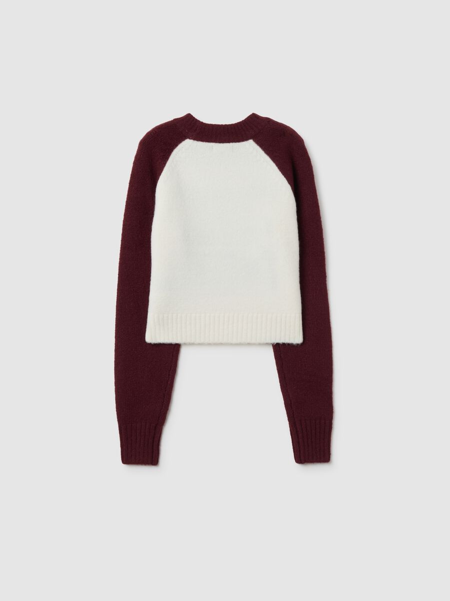Girls' fitted acrylic blend multicolour sweater_4