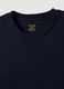 Regular Fit Blue Pure Cotton T-Shirt_5
