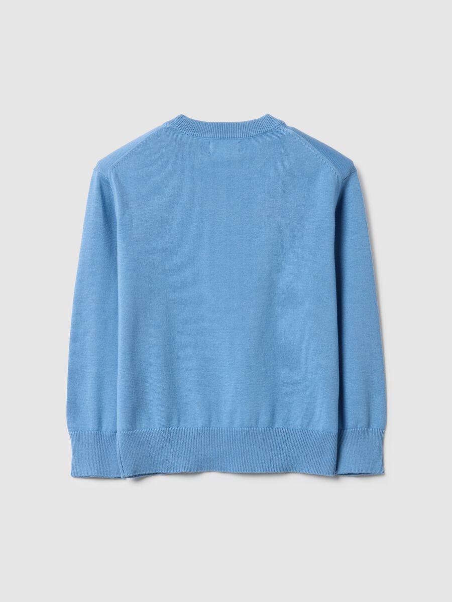 Blue children's pure cotton crew neck jumper regular fit_1