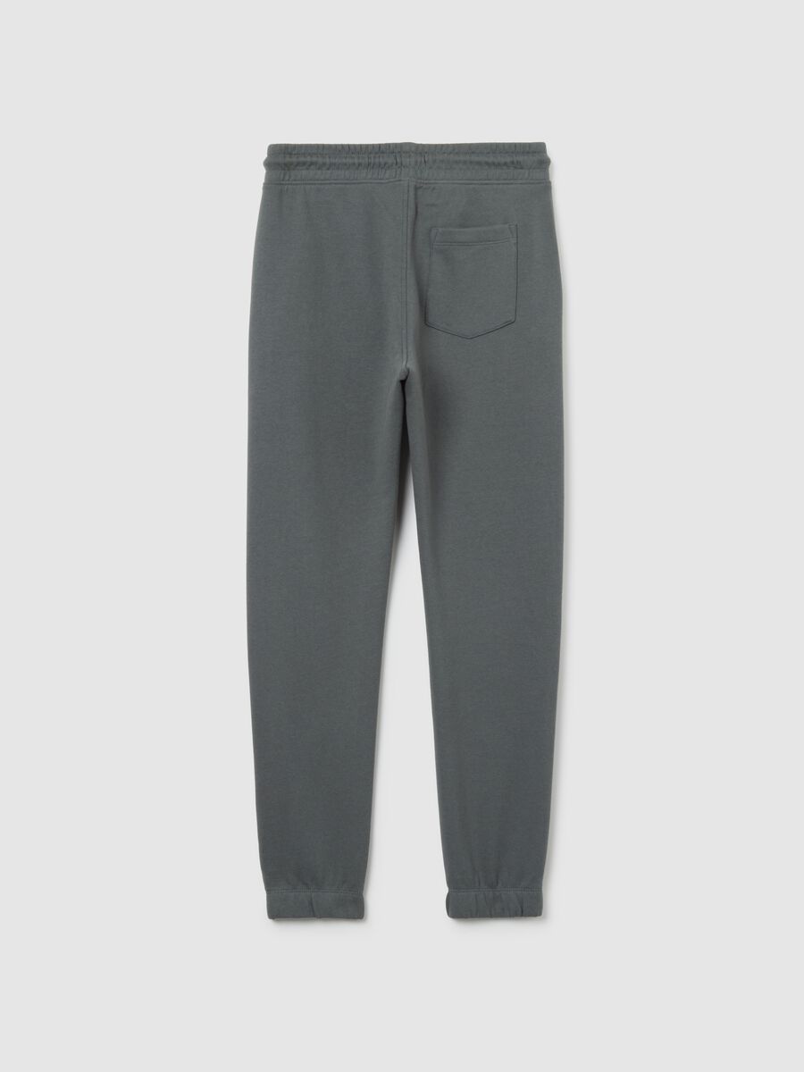Pantaloni grigi da ragazzo in puro cotone regular fit con stampa_1