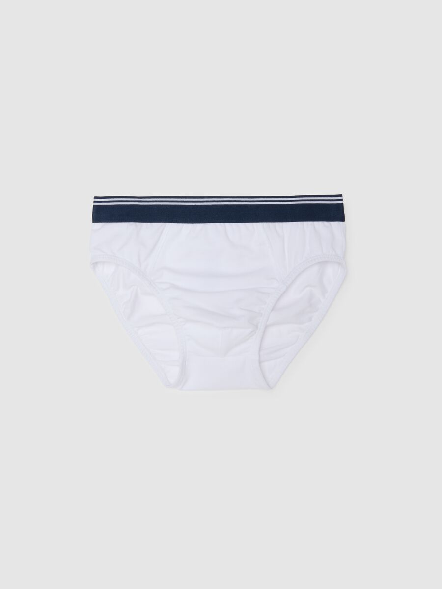 Multicolor Boys' Regular Fit Cotton Stretch Briefs_0