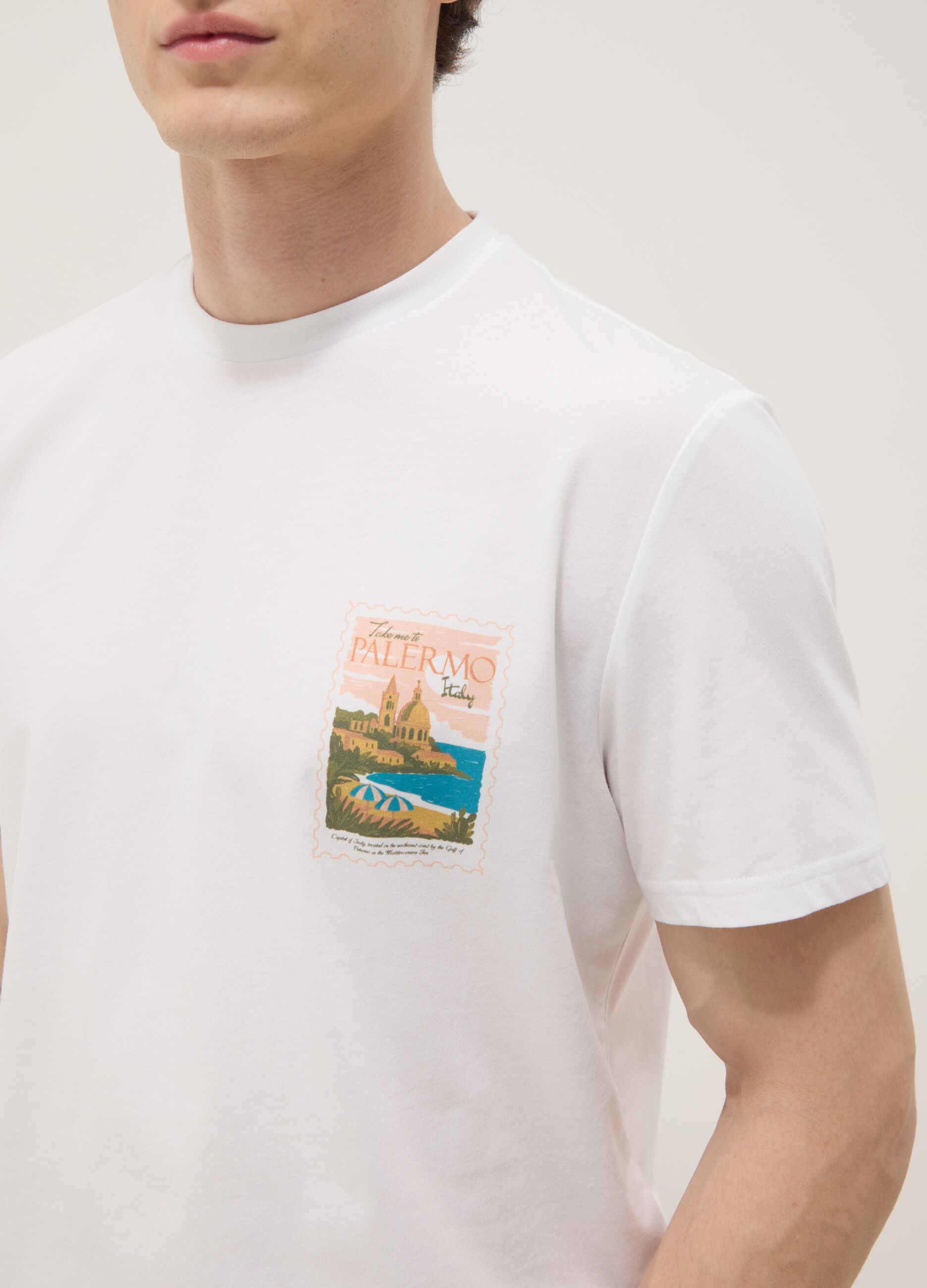 White pure cotton T-shirt with chest print, regular fit