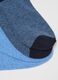 Multipack Set: Multicolour Cotton Blend Socks_1