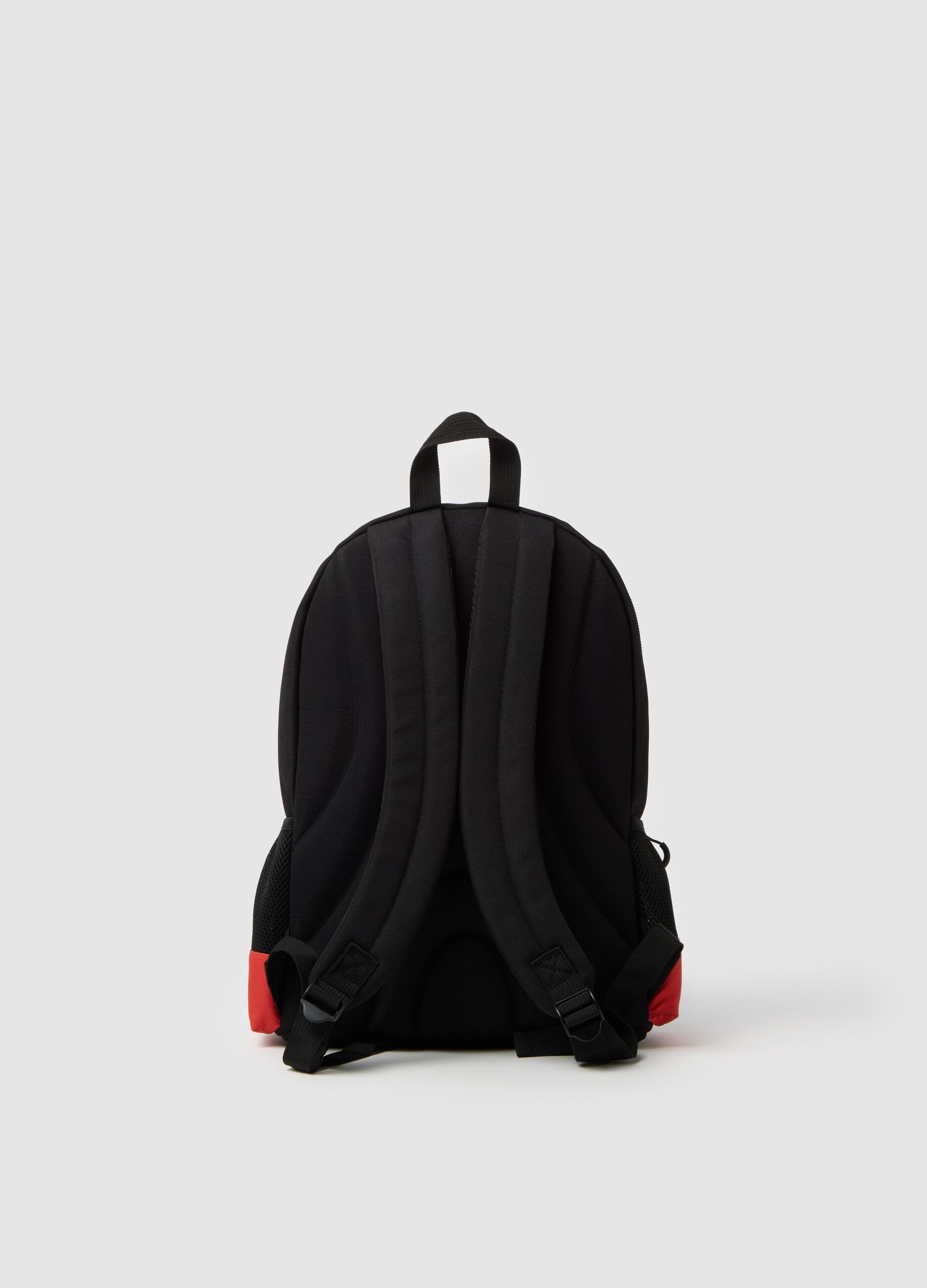 Multicolour Kids' Backpack with Raptor Print