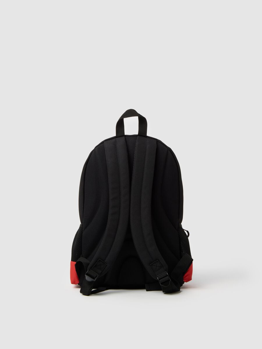 Multicolour Kids' Backpack with Raptor Print_2