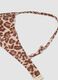 Multicolour leopard-print stretch bikini top_5