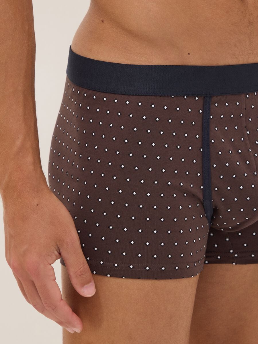 Tripack di boxer marroni in cotone organico elasticizzato a pois_3