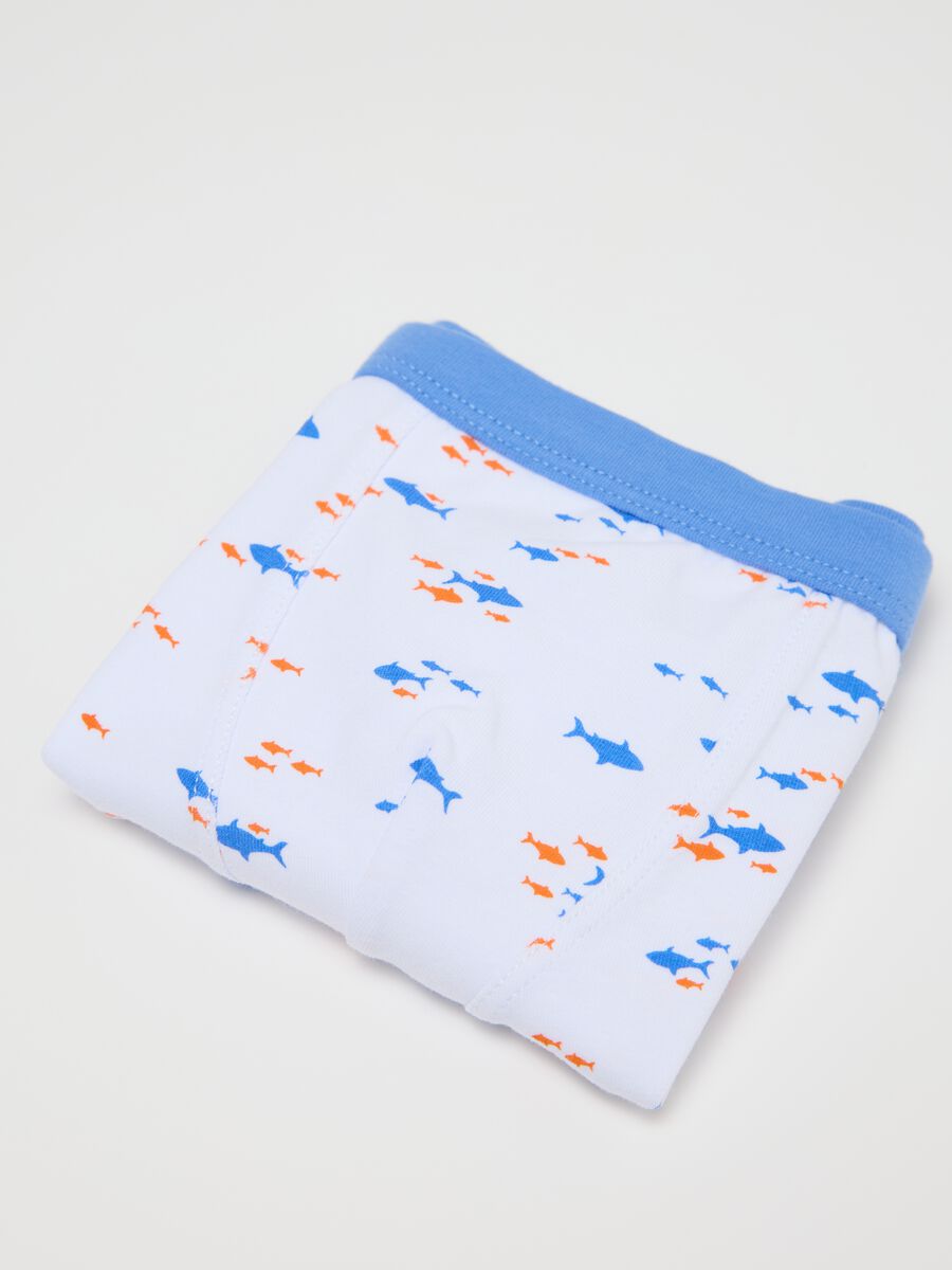Three-pack white and light blue boxer shorts with print_2