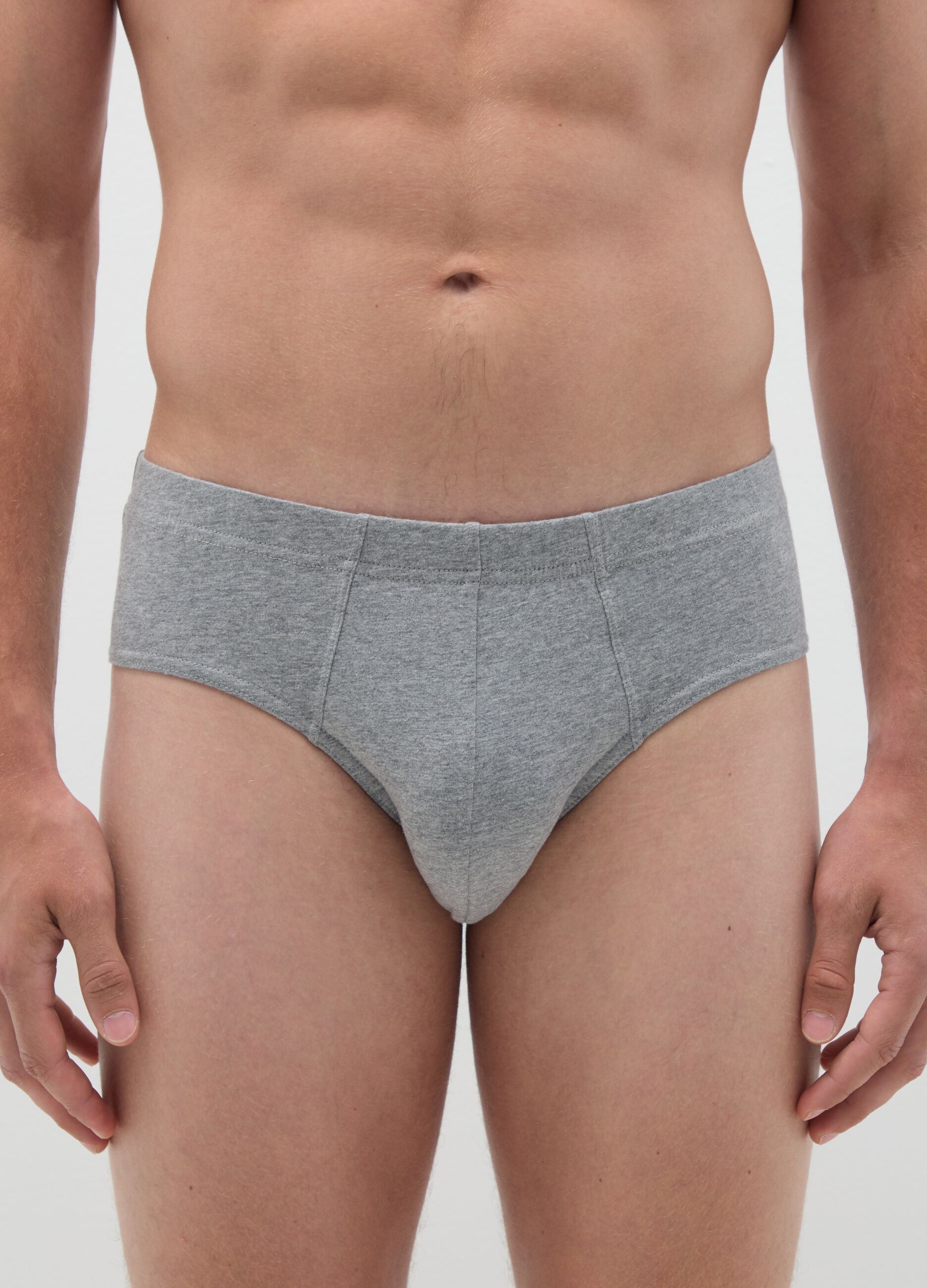 Grey Cotton Briefs Regular Fit