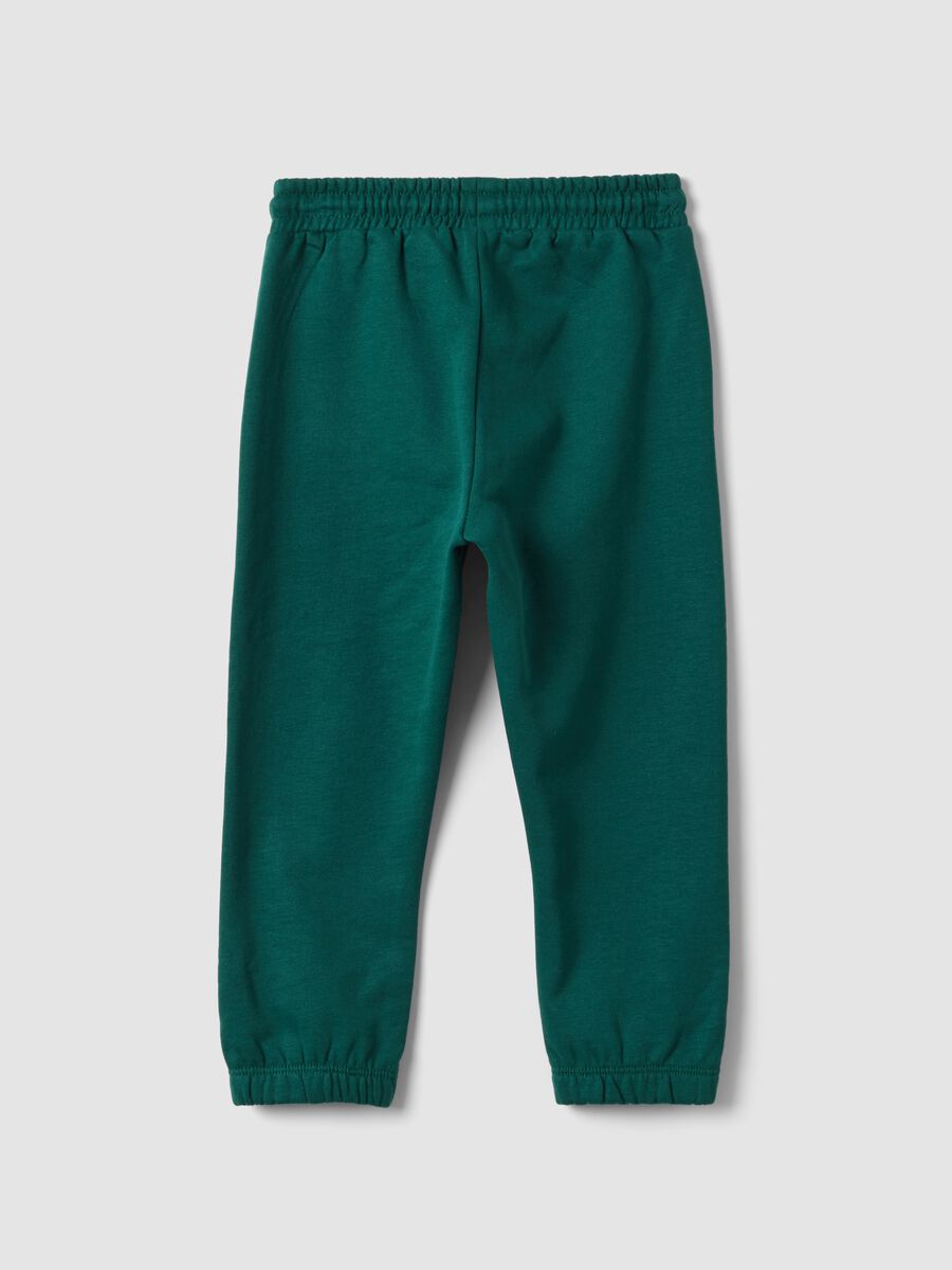 Pantaloni jogger verdi in puro cotone_1