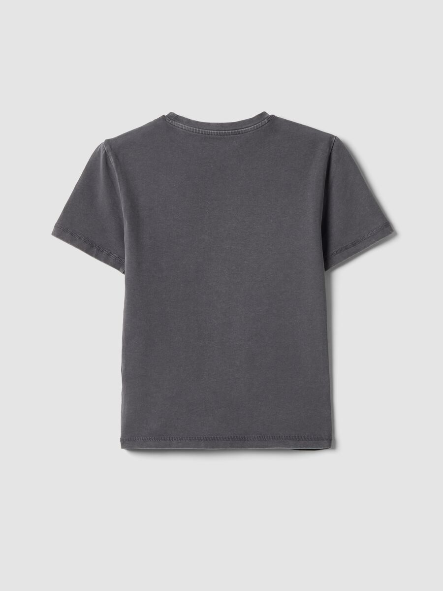 Perfect T-shirt Washed Grey_1