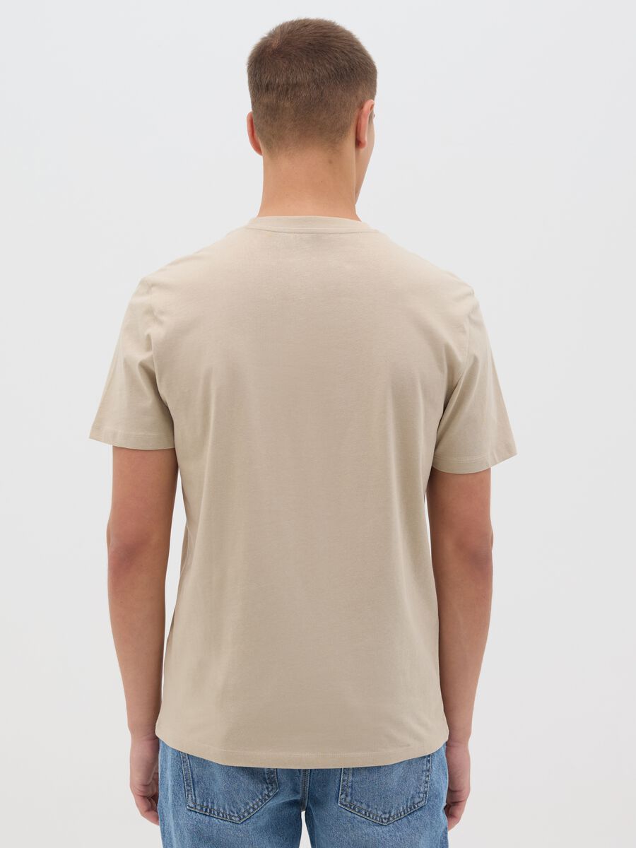 Beige T-shirt with Maui and Sons print_2